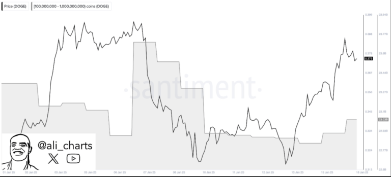 Dogecoin Bulls Eye $3 As Whales Scoop 200 Million DOGE In The Last 2 Days