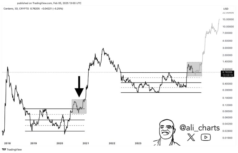 Cardano Could Explode By 1,850% In ‘Monster Rally’: Analyst
