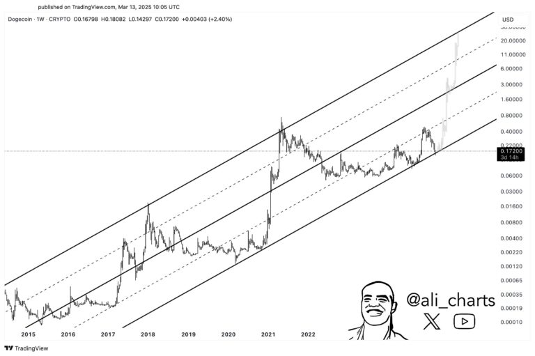Dogecoin Can Still Go Parabolic If This Support Holds, Analyst Says