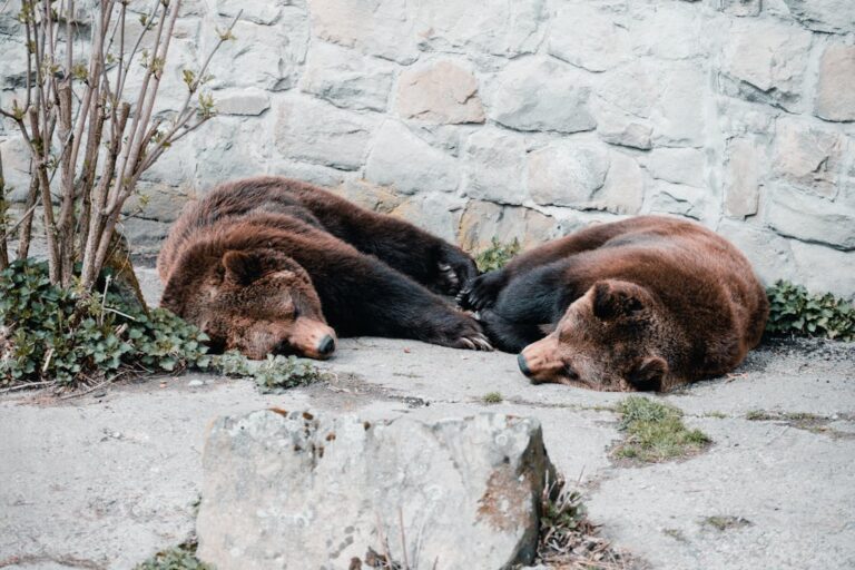 Expert Analyst Warns BITCOIN/VIX Is Not Bullish, These Are Bear Market Signals