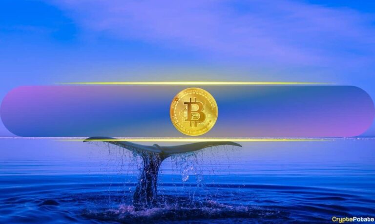 New Cohort Adds 3.1% of BTC Supply Since March