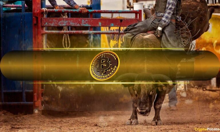 Is This the Ultimate Bullish Signal for BTC and XRP?