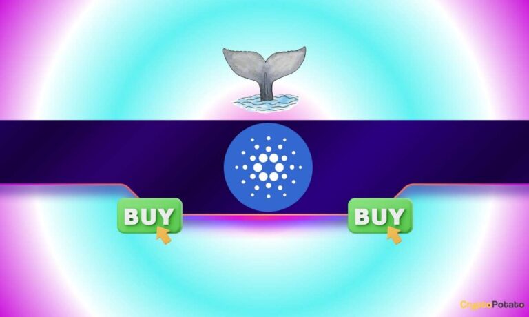 100,000,000 ADA Snapped Up by Whales in 24H: What’s Next for Cardano’s Price?