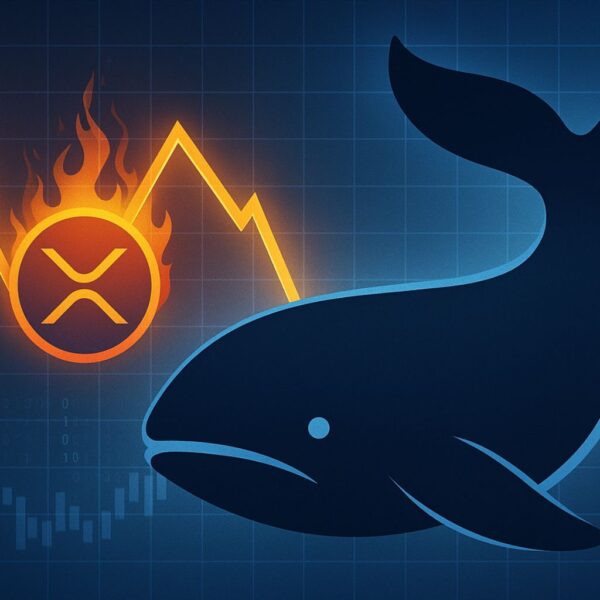 XRP Whale Activity Signals Warning: Distribution Pattern Resurfaces