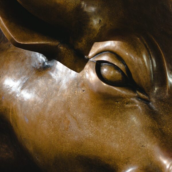 XRP’s Toughest Bull Run Could Lead To Big…