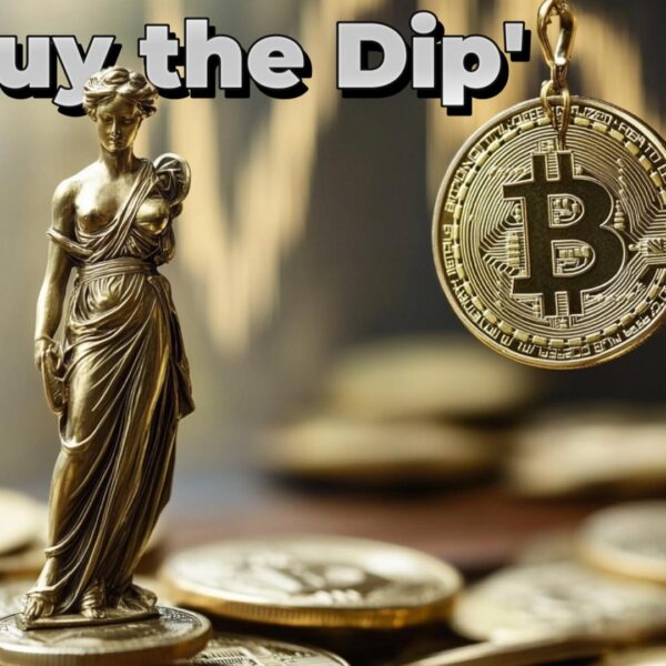 Whale Buys 300 Bitcoins Daily Despite Market Crash