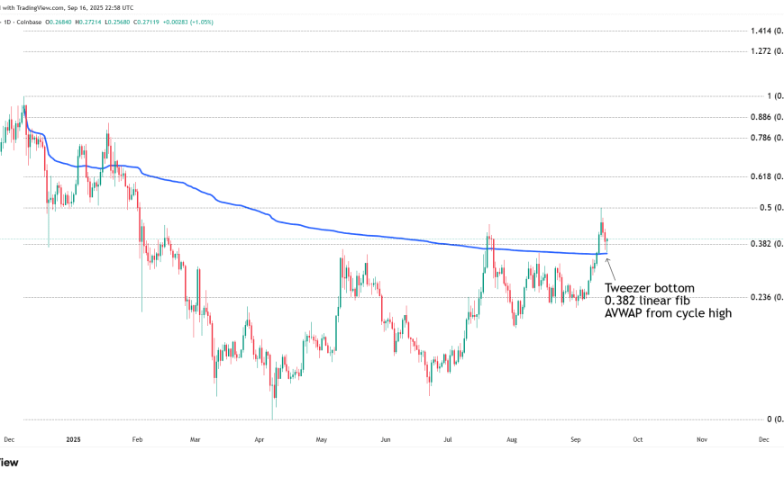 Is The Dogecoin Bottom In? Confluence Of Signals…