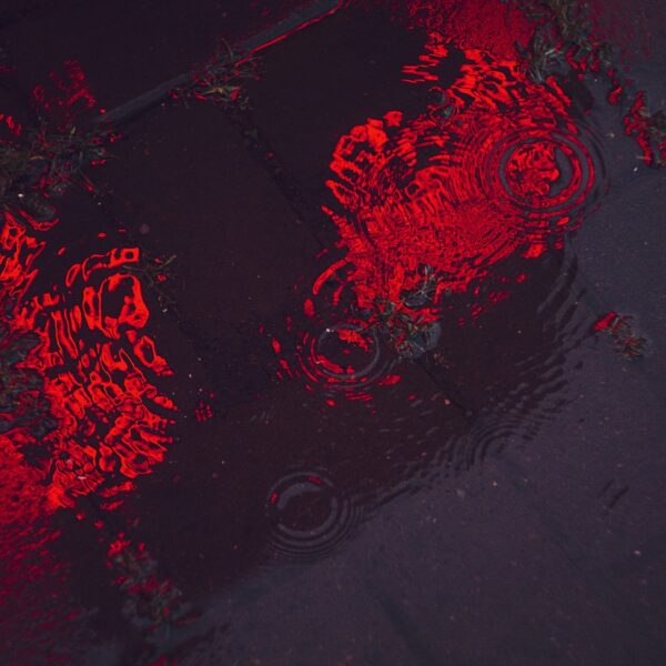 Crypto Market Crashes As $19.5 Billion Wiped Out…