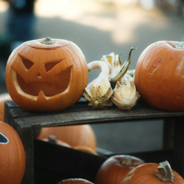 Get Ready, The End Of November Will Be…