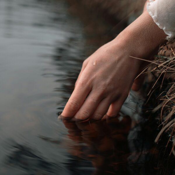 Texas Drops $10 Million On Bitcoin, Officially Buying&hellip;