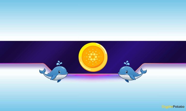 Why Cardano Whales Are Buying the Dip in Bulk