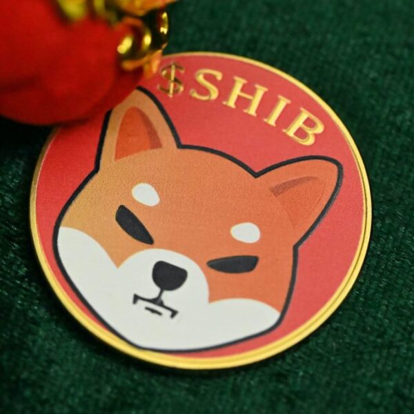 Shiba Inu’s Token Keeps Sliding As Team Counters&hellip;