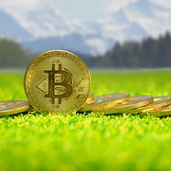 Bitcoin At The Bottom? The 23-Month Cycle That&hellip;