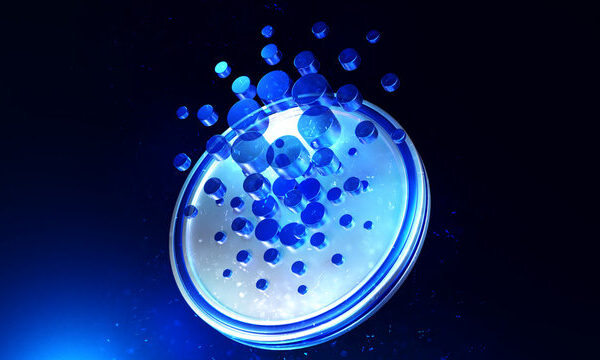 Analyst Predicts Crash To This Target