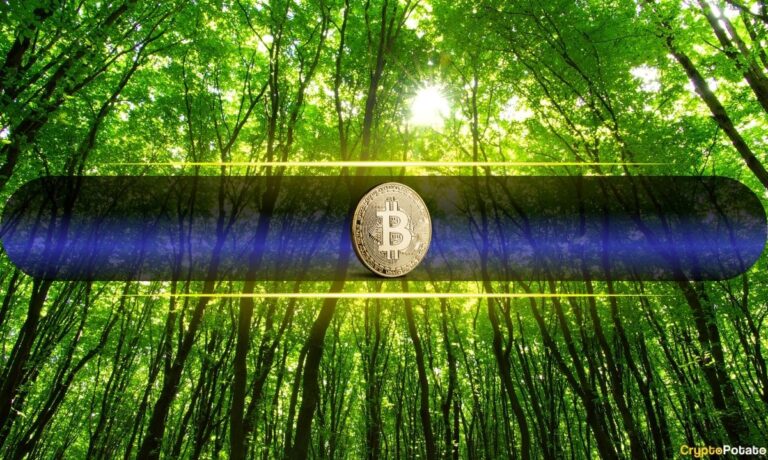 Bitcoin Price Pushes Above $80,000 for First Time Since January