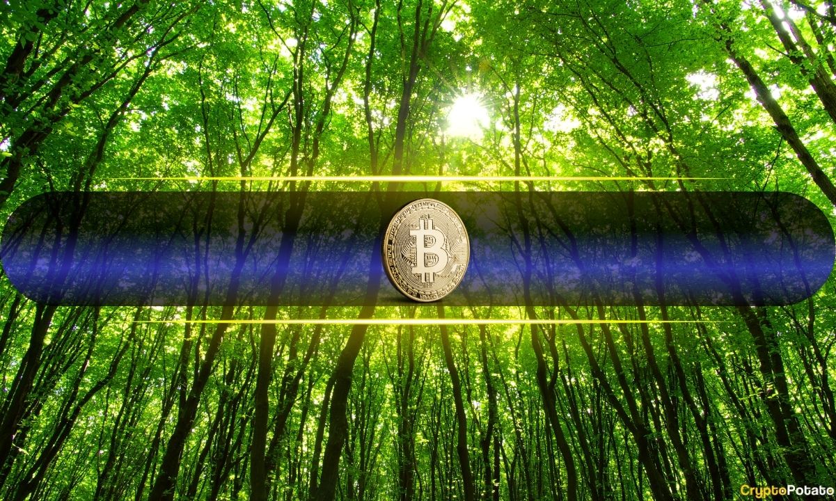 Bitcoin Price Pushes Above $80,000 for First Time Since January